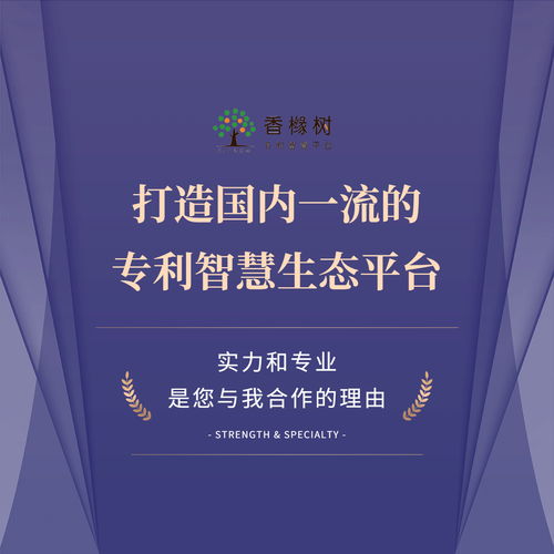 智航科泰攜手香櫞樹 知識產(chǎn)權(quán)領(lǐng)域為何青睞專業(yè)信息技術(shù)咨詢服務(wù)
