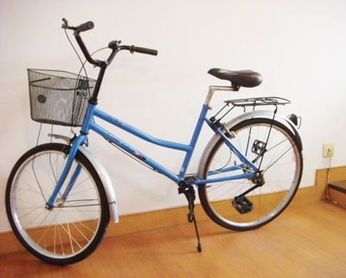 自行車百元身價(jià)沒變