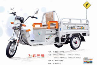 飛軒電動車產(chǎn)品 產(chǎn)品圖片 加盟店怎么樣