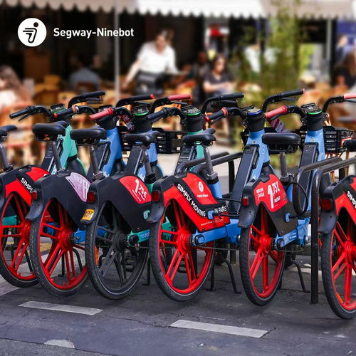 九號(hào)公司上半年業(yè)績創(chuàng)新高,實(shí)現(xiàn)營收66.66億元