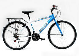 麥市向陽自行車