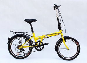 電動(dòng)自行車(chē)品牌與市場(chǎng)價(jià)格綜合分析